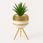 Buy Mini Decorative Plant Holder