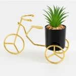 Premium Quality Gold Tricycle Planter with Ceramic Pot