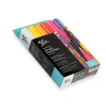 Dual Tip Acrylic Paint Pens Set of 12